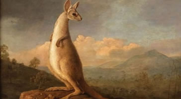 Stubbs’s kangaroo and dingo paintings saved for the nation